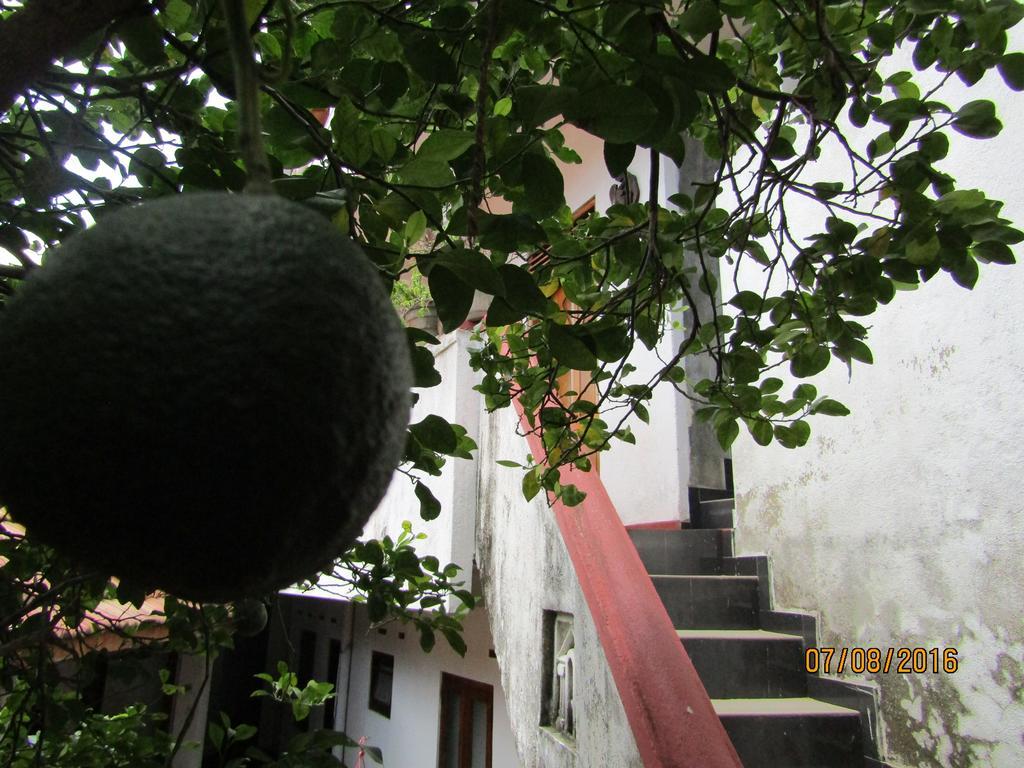 New Sea Lion Guest House Hikkaduwa Ngoại thất bức ảnh