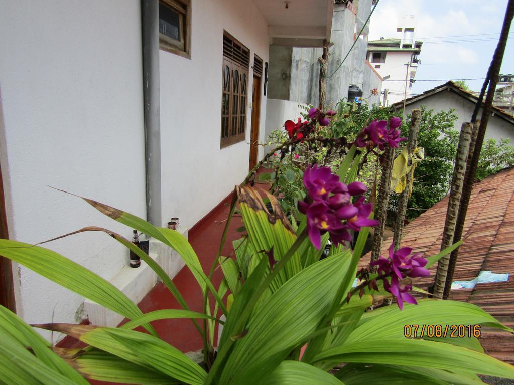 New Sea Lion Guest House Hikkaduwa Ngoại thất bức ảnh