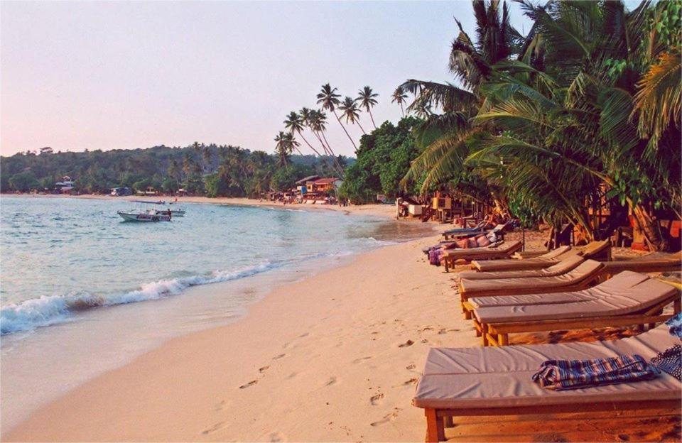 New Sea Lion Guest House Hikkaduwa Ngoại thất bức ảnh